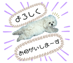 696623499