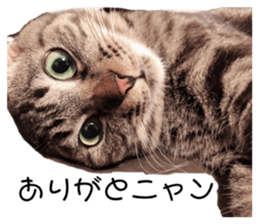 696623966