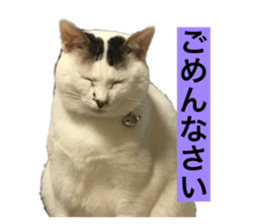 696629706