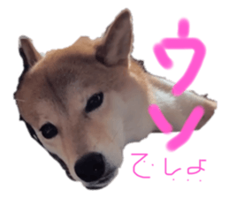 696634575