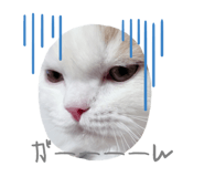 696637499