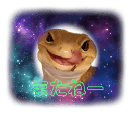 696637505