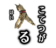 696647337