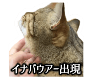 696647340