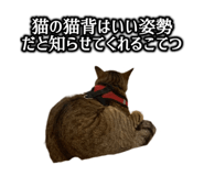 696647341
