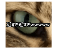 696647344