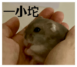 696657350
