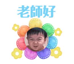 696768116