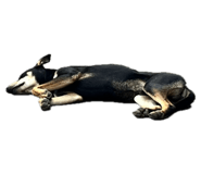 696768337