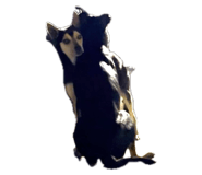 696768342