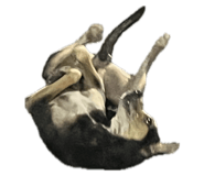 696768359