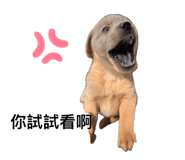 696777775
