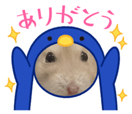 696794238
