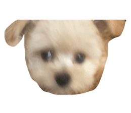 696794449