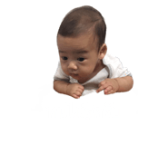 696812484