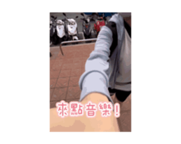 696817806