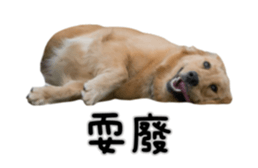696823889