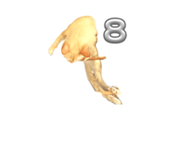 696825840