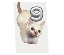 696825841