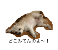 696853230