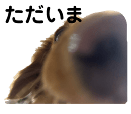 696856825