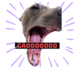 696859308