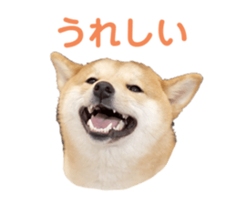 696871380