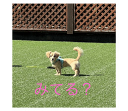 696876535