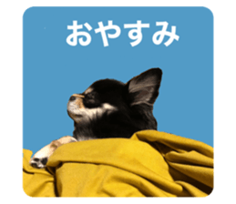 696885616