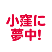 696900016