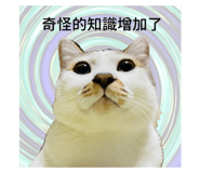 696909969