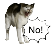 696909971