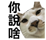 696909973