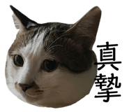 696909975