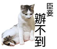 696909978