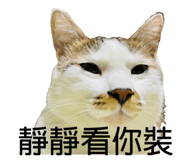 696909979