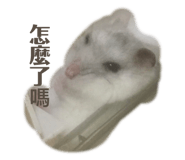 697050362