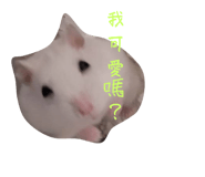 697052073