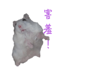 697052077