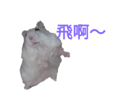 697052078