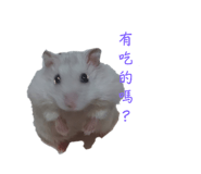 697052079