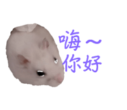 697052082