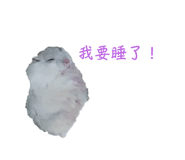 697052083