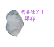 697052084