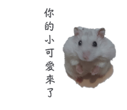 697052085