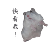 697052086