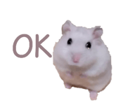 697052087