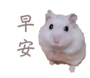 697052088