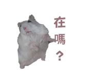 697052089