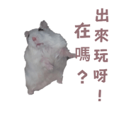 697052090